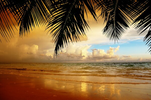 Tropischer Strand mit schönem Sonnenuntergang