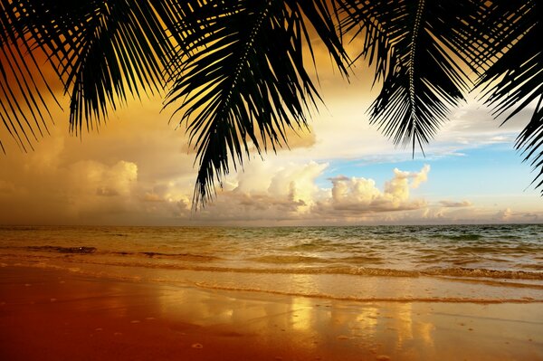 Spiaggia tropicale con bel tramonto