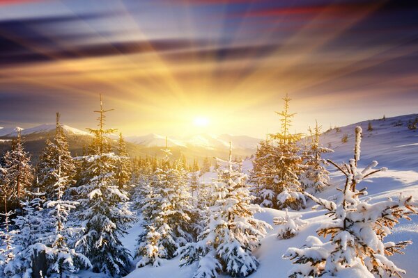 Amanecer entre la montaña y el bosque