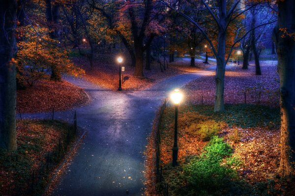 Park Alley por la noche