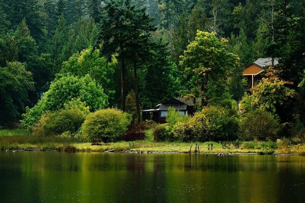 Waldsee und Baumhäuser