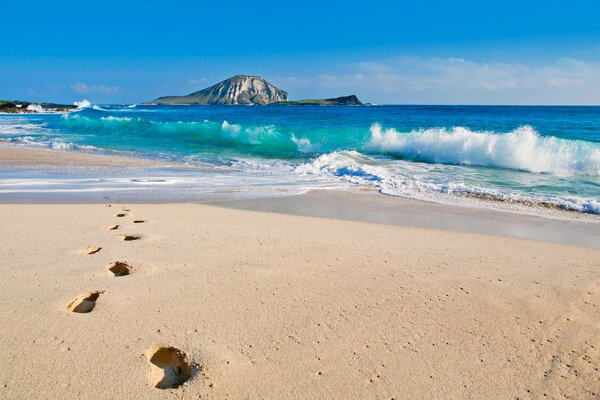 Footprints on the beach in Hawaii