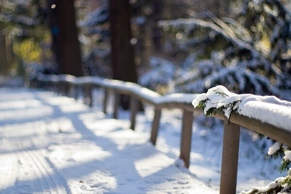 Winter road along the forest, fence