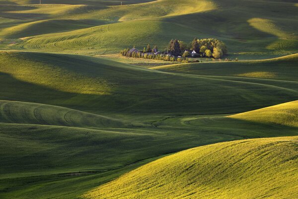 Green field. A small village