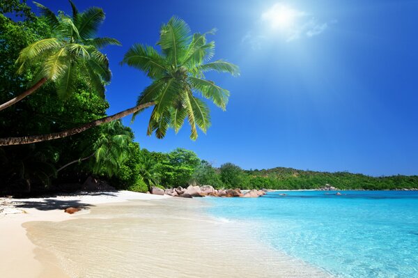 Spiaggia di sabbia vicino al mare