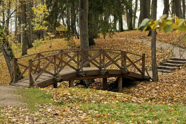 Park im Herbst :Brücke Laubbäume