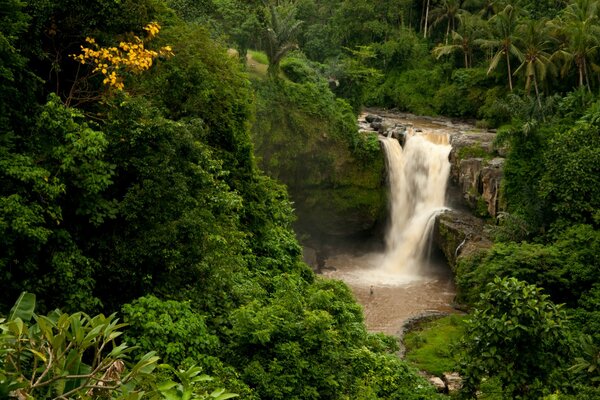 Le bellezze selvagge delle cascate indonesiane