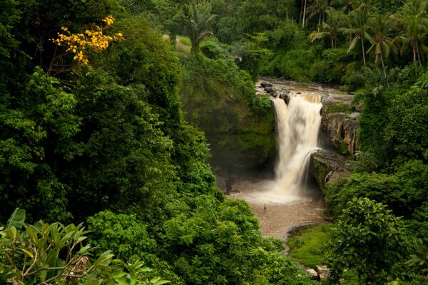 Dzikie piękno indonezyjskich wodospadów