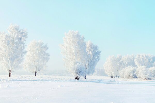 Bellissimo posto in inverno intorno alla neve