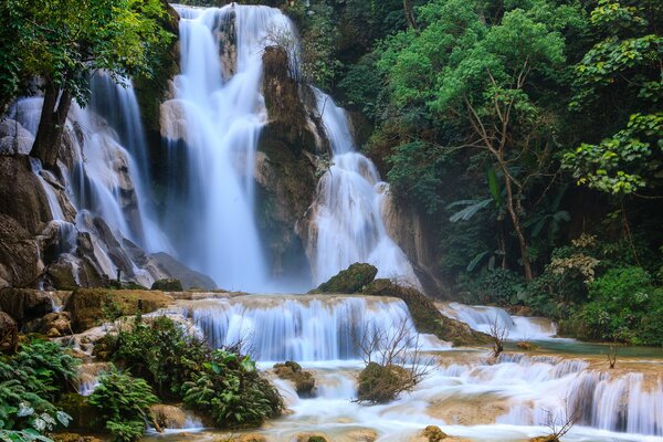 Cascada alta rodeada de vegetación