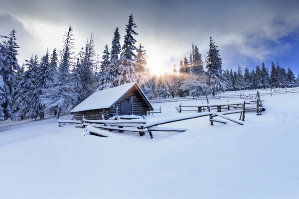 A hut in the forest. The rays of the sun