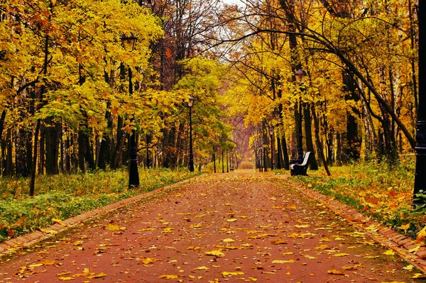 Одинокая скамейка в осеннем парке