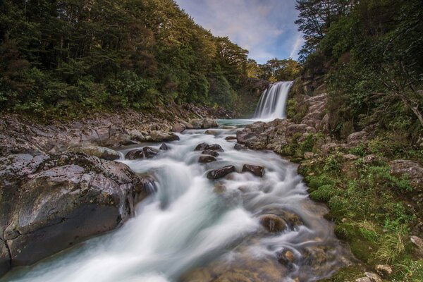 Wasserfall in den Wäldern Neuseelands