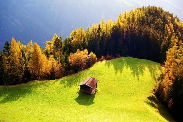 A house in the middle of the clearing. Sunny day