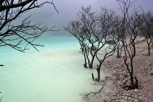 Unusual nature, both water and sand are connected together at the same time