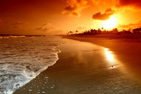 Colorful sunset on the beach atmospheric photo