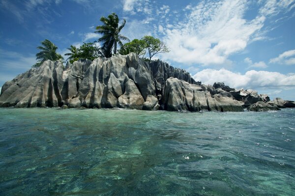 An exotic island. Sea and palm trees