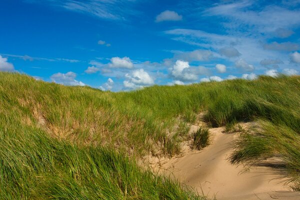 Steppa con dune e cielo blu