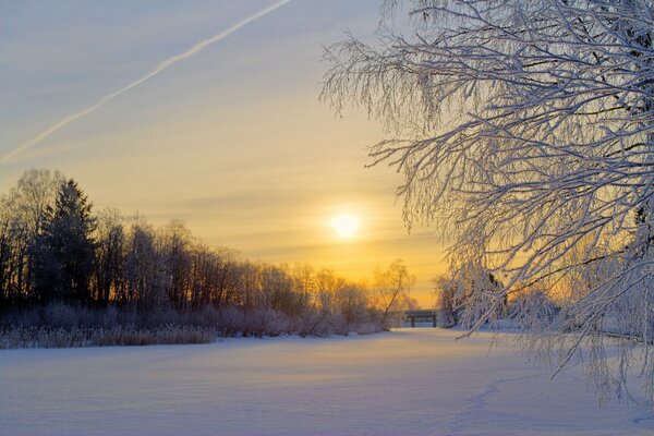 Goldener Sonnenaufgang über einem Winterwald, einer Lichtung und schneebedeckten Ästen