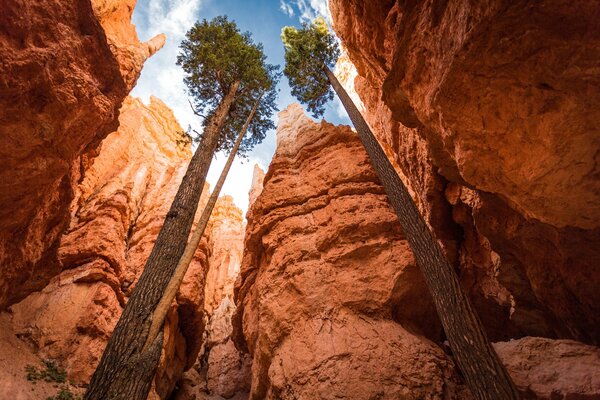 Utah Canyon USA Nationalpark