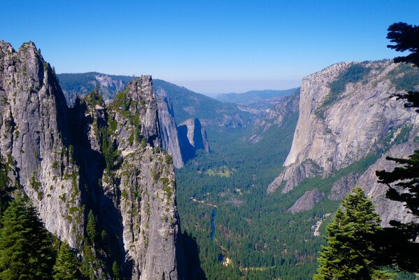 Montañas y bosques en el parque nacional de Yosemite