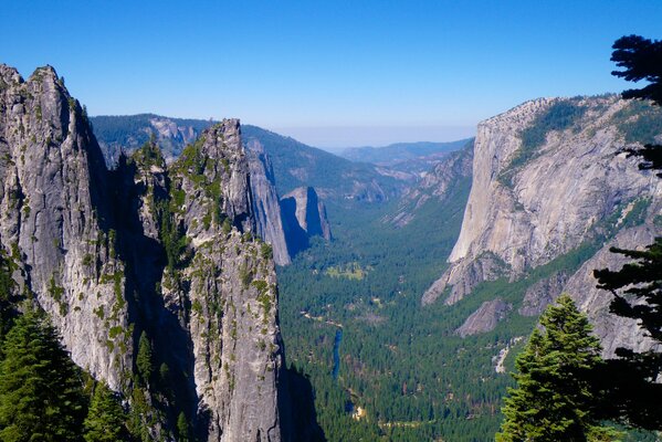 Montagne e foresta nel Parco Nazionale di Yosemite