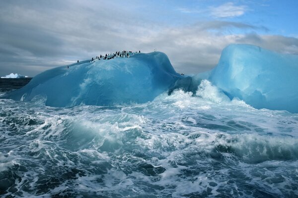 Acqua che batte sul ghiaccio artico