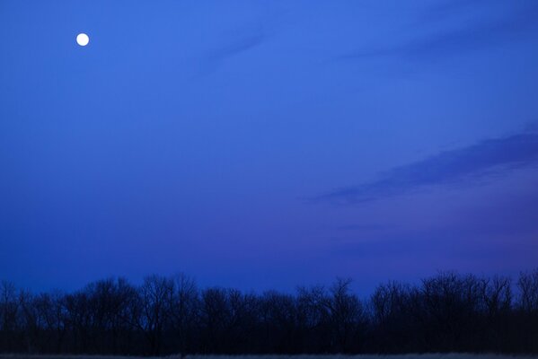 Der Vollmond vor dem Hintergrund des blauen Nachthimmels fasziniert mit Schönheit
