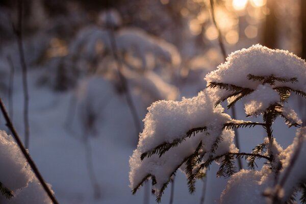 La belle hiver est enfin arrivée!