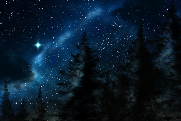 Зимняя ночь в лесу на природе со звёздами на небе