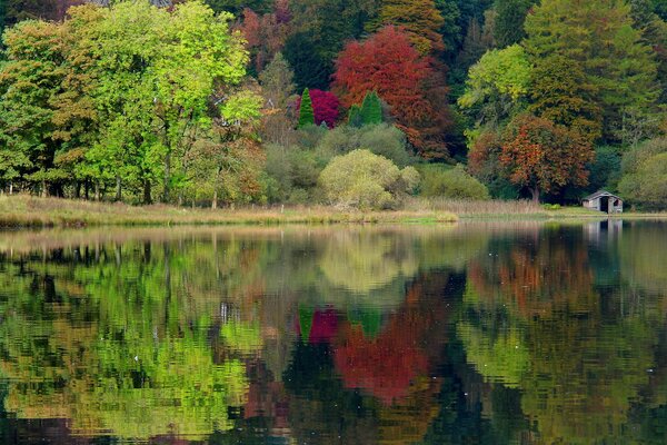 Anglia swoją pięknością na zdjęciach