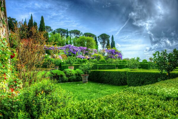 Colorful Green Maze Garden