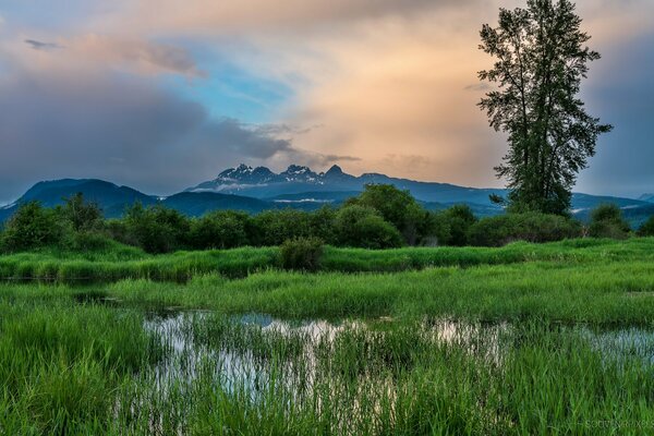 Wiesen in der kanadischen Provinz und ein See