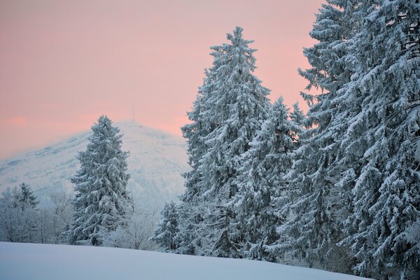 Ate on the snowy hills in the evening