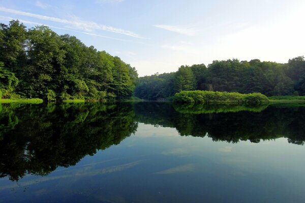 Lago limpio con costas verdes