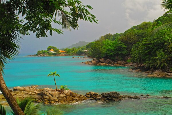 Mar azul y palmeras en los trópicos