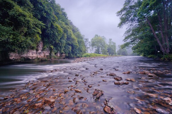 Der Waldfluss auf den Untiefen mit der Strömung