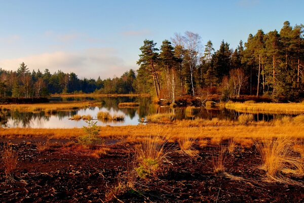 Paesaggio autunnale con lago e alberi