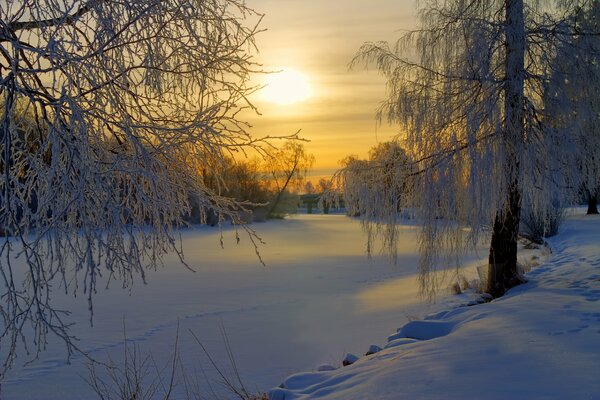 Winter Schweden Sonnenaufgang Morgen