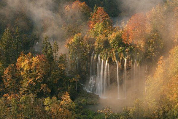 Niebla matutina en los bosques otoñales de Croacia