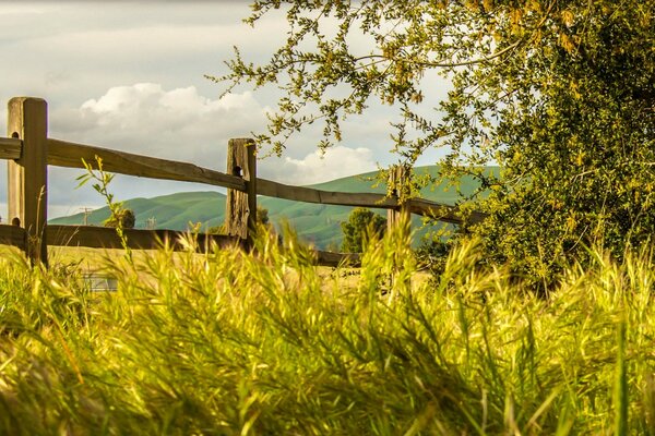 Holzzaun mit Gras auf dem Hintergrund der Berge