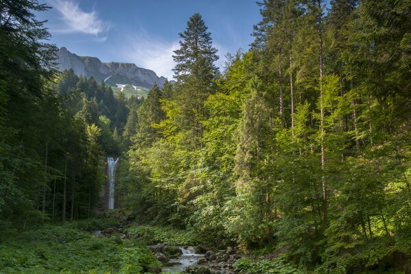 Unglaubliche Aussicht auf die alpinen Berge und den Wasserfall