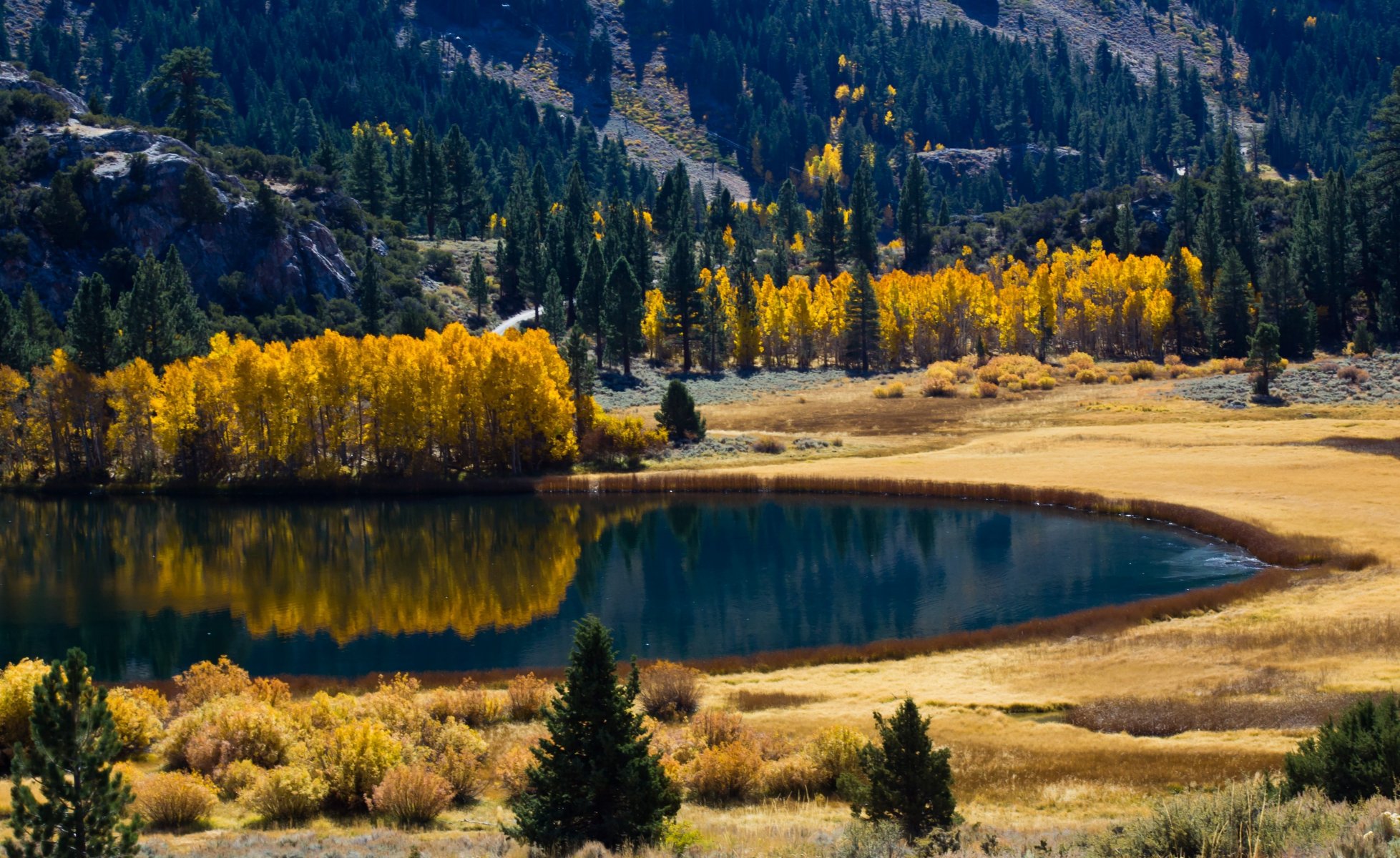 herbst see wald natur