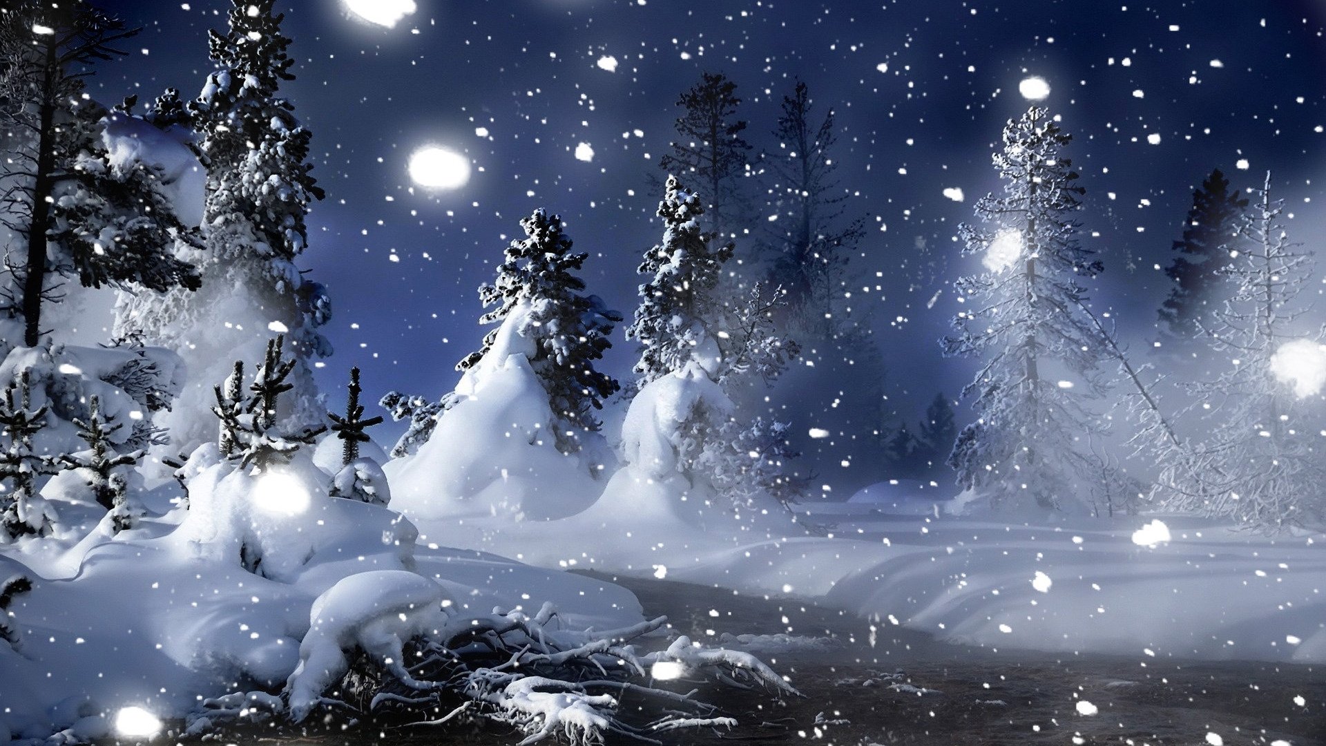 inverno notte alberi alberi di natale fiume neve