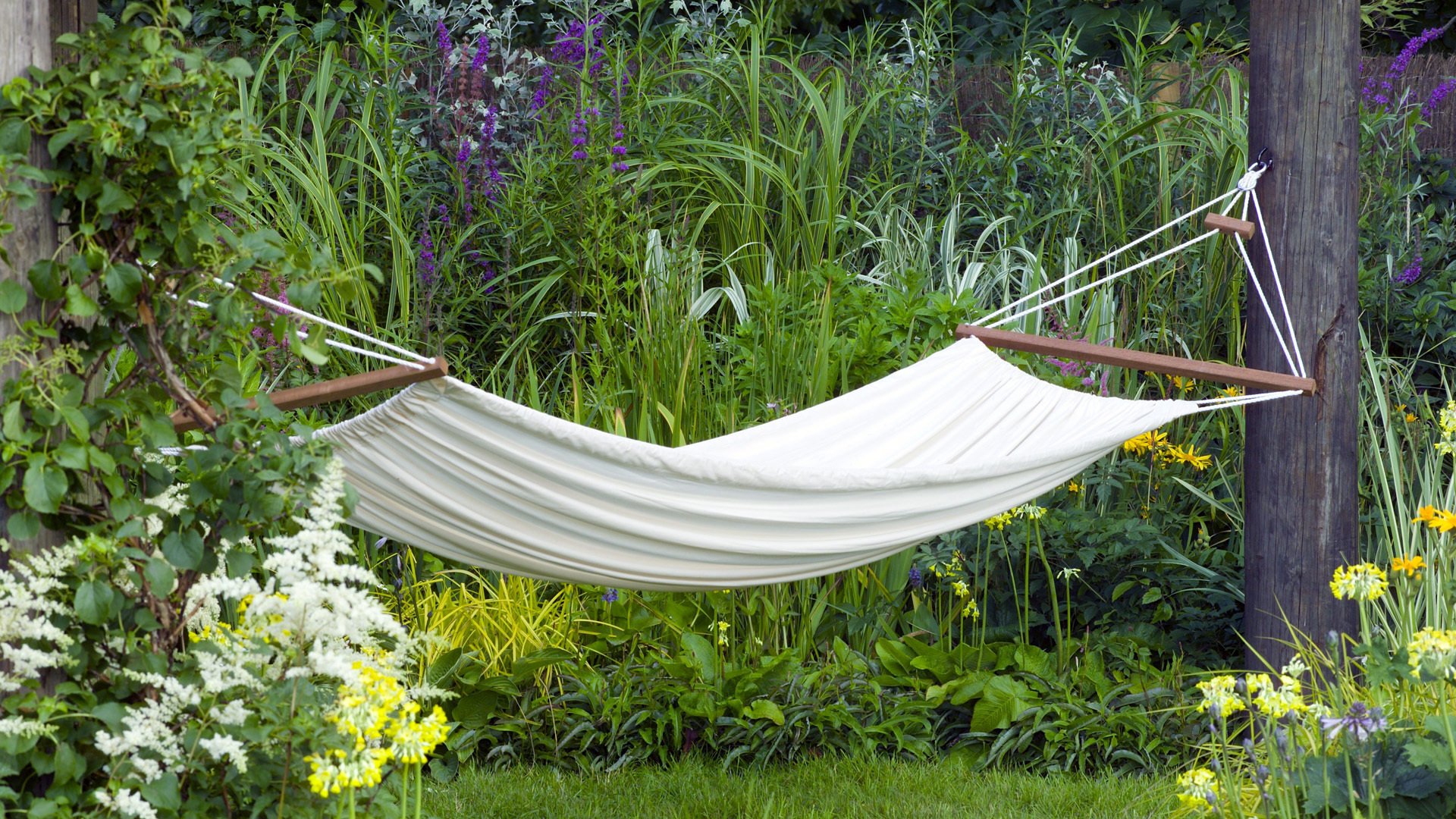 blanc hamac forêt herbe fleurs loisirs relax