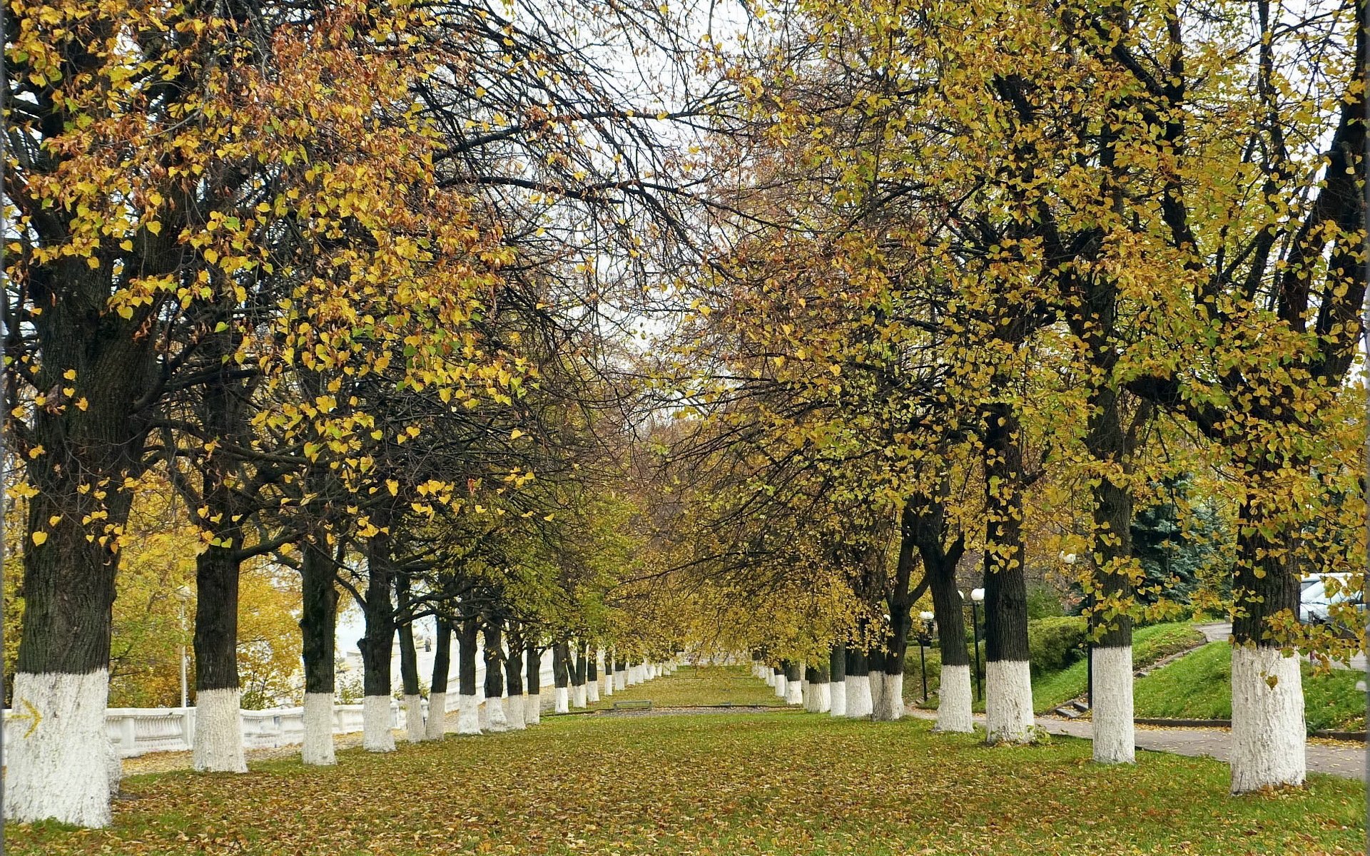 park drzewa jesień przyroda