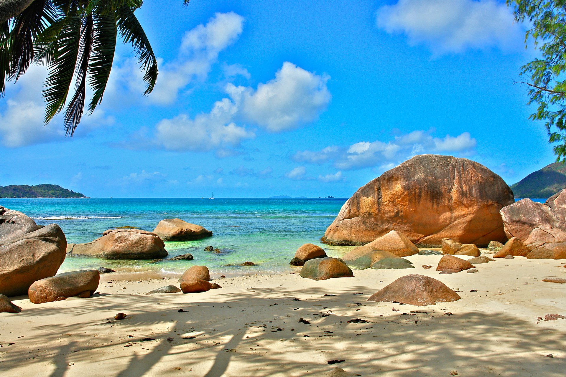 ozean seychellen exotisch natur erholung entspannen seychellen