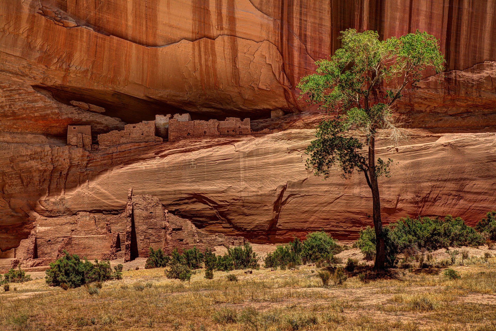 naturaleza cañón estados unidos rocas árbol viviendas dibujos