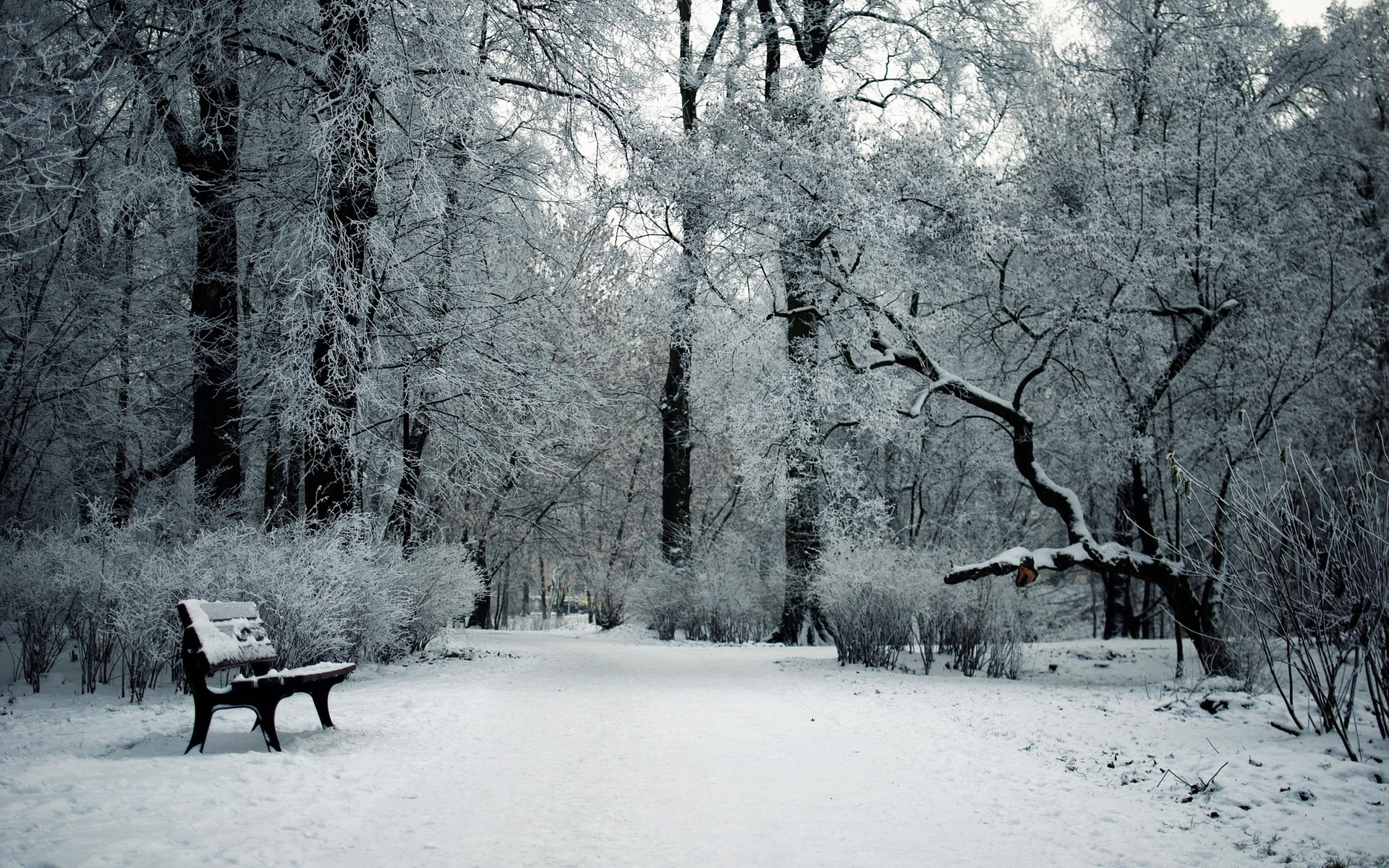 hiver parc neige banc