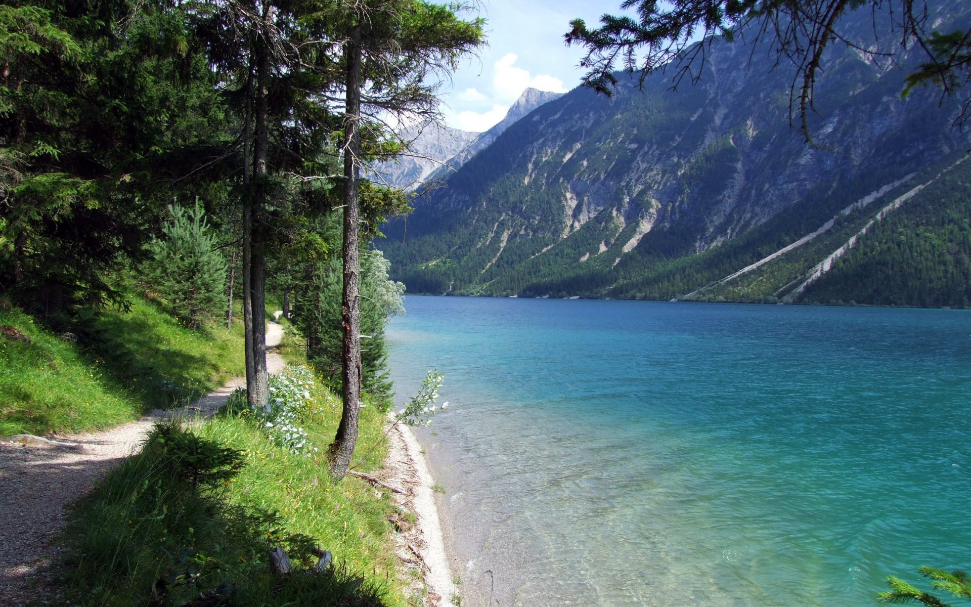 lac sentier arbres montagne eau rivage herbe